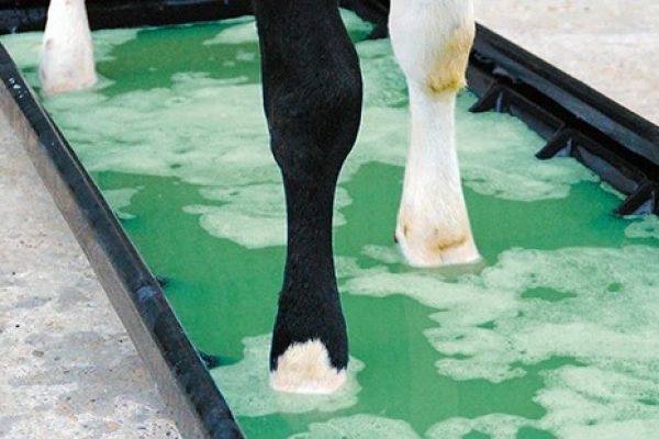 whatsapp image 2026 03 02 at 2.59.19 pm