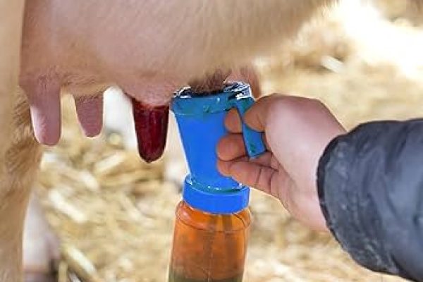 whatsapp image 2026 03 02 at 3.01.23 pm